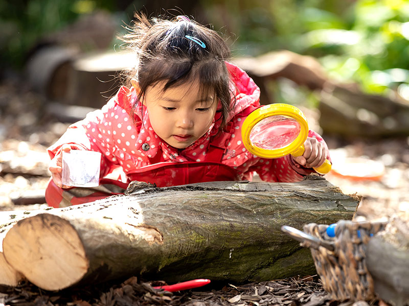 blackheath-prep-tour-forest-school-002